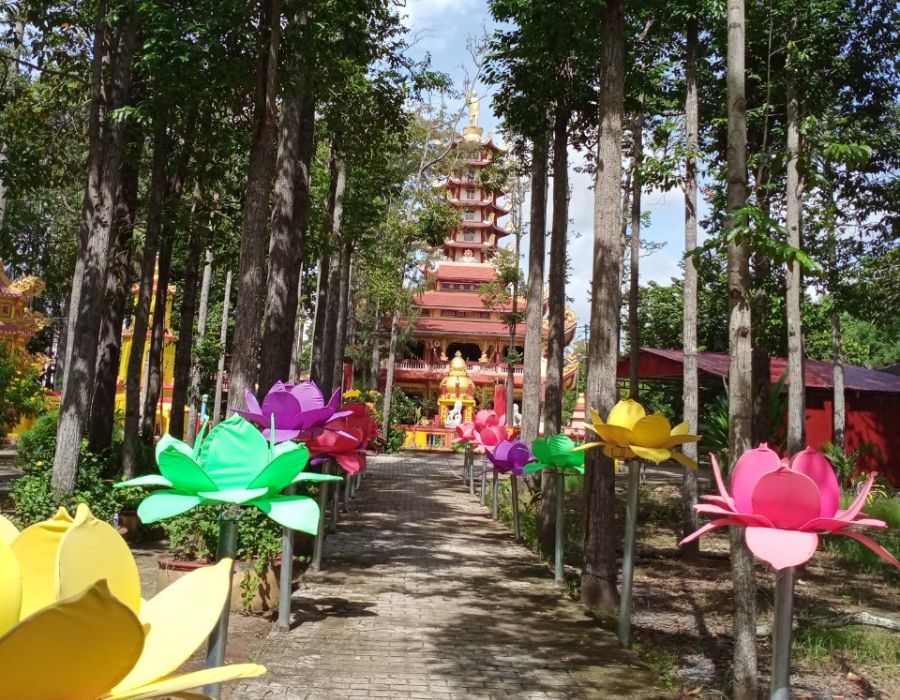Hành hương tại chùa Hải Phước An linh thiêng cùng team MIA.vn 2