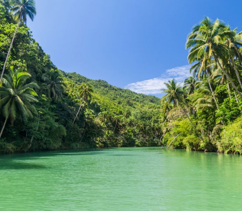 Hành trình du lịch đảo Bohol từ A đến Z cho người đi lần đầu 2