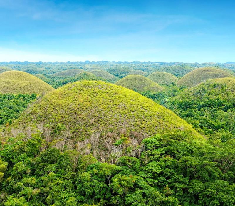 Hành trình du lịch đảo Bohol từ A đến Z cho người đi lần đầu 3