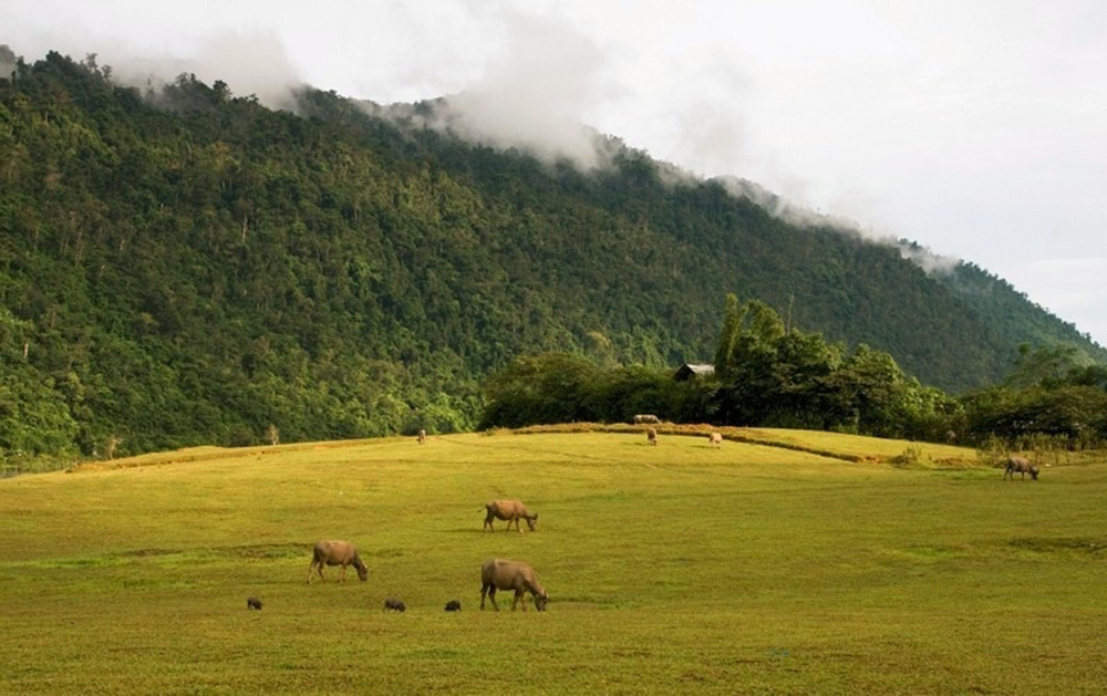 Hành trình khám phá Hồ Noong - Hà Giang đẹp như tranh vẽ 8