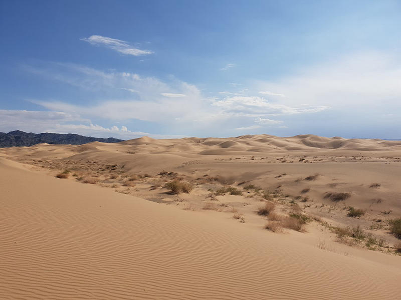 Đến sa mạc Gobi hòa mình vào thiên nhiên hoang dã đầy kỳ thú 4