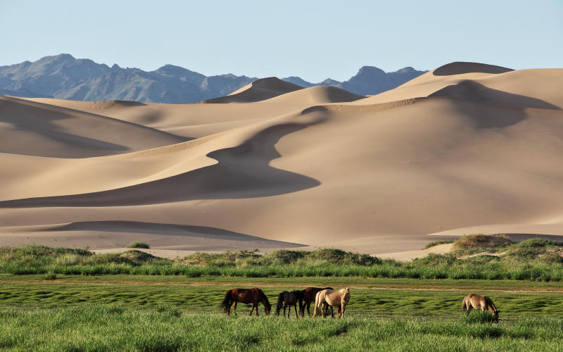 Đến sa mạc Gobi hòa mình vào thiên nhiên hoang dã đầy kỳ thú 8