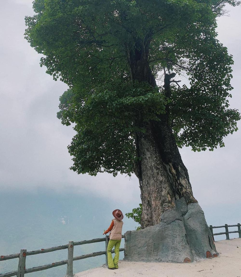 Hành trình Review Hà Giang 2N1D của cô nàng Phương Thảo có gì? 3