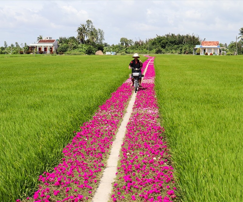 Du lịch Gò Công, khám phá từ di tích cổ đến biển Tân Thành