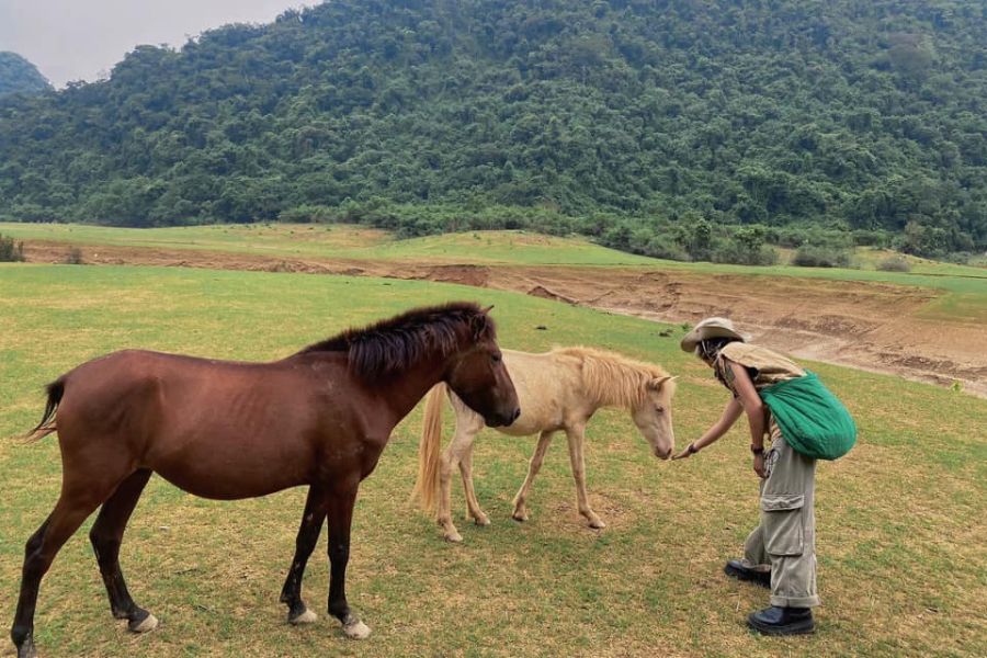 Hành trình vi vu Hà Giang mang theo nét đẹp hoang sơ đầy ấn tượng 11