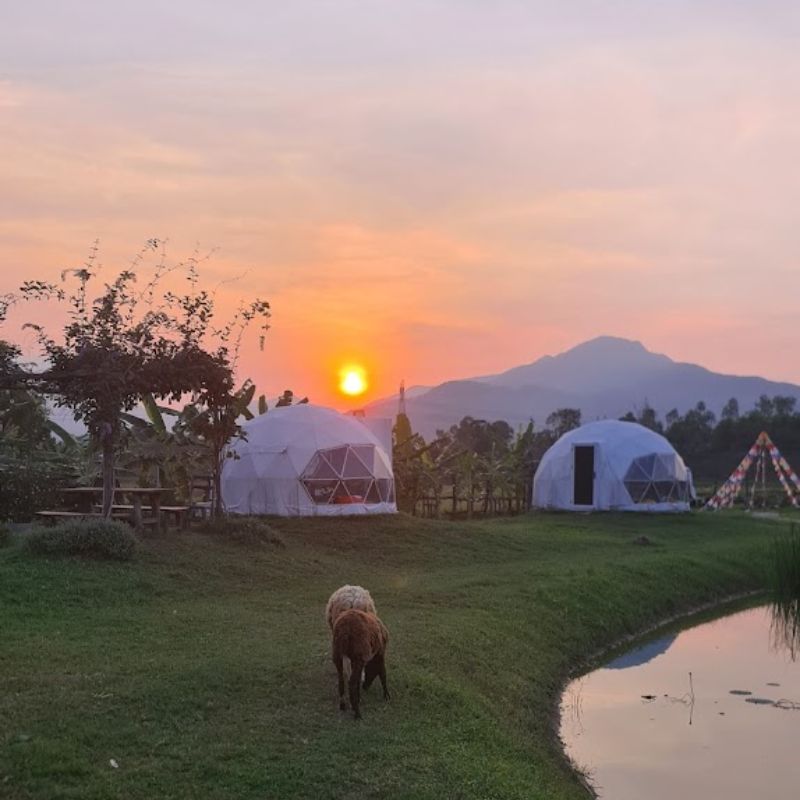 Hani Glamping Đà Nẵng trải nghiệm cắm trại tựa giữa miền Mông Cổ 5