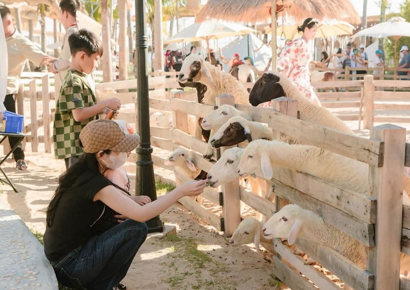 Hanna Beach Mũi Né thiên đường nhiệt đới bên bờ biển Phan Thiết 5