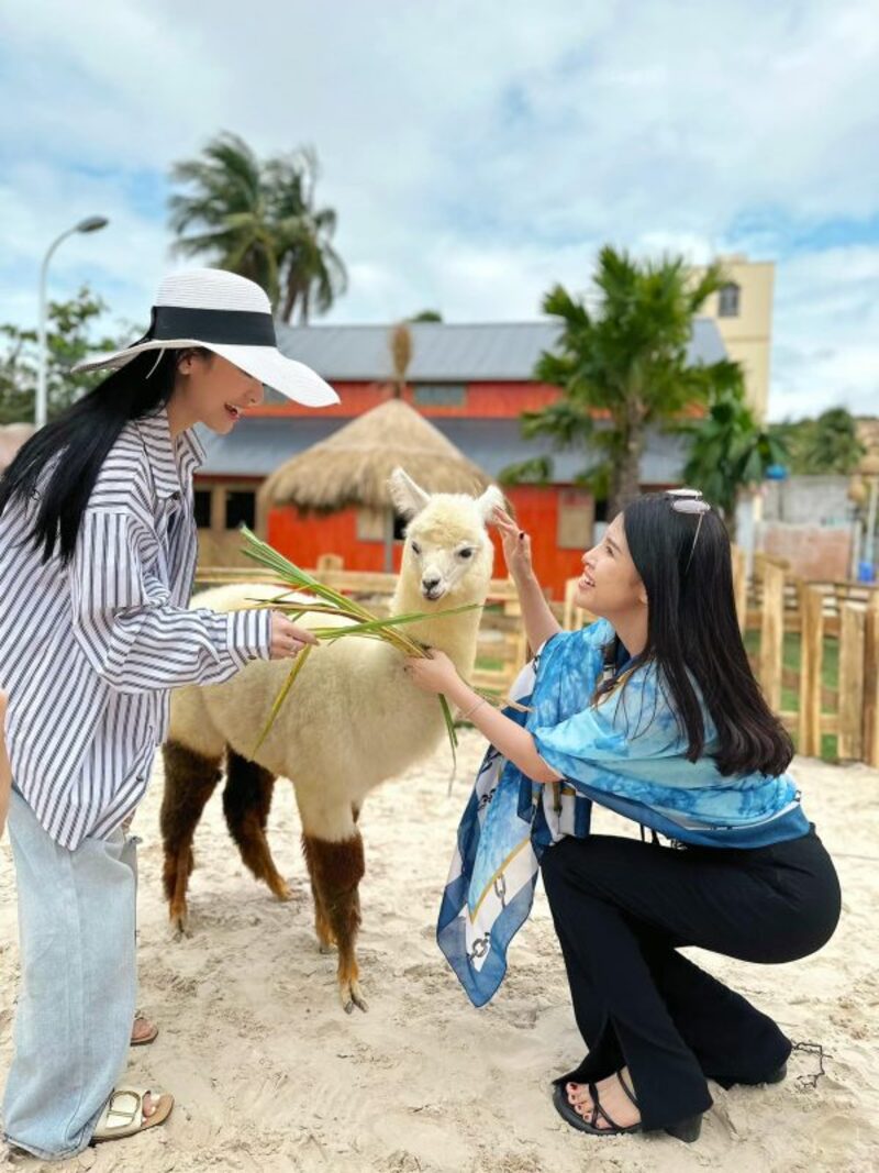 Hanna Beach Mũi Né thiên đường nhiệt đới bên bờ biển Phan Thiết 9