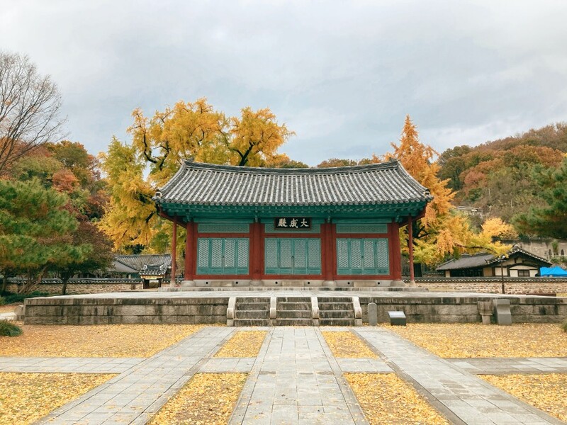 Làng Hanok Jeonju bên những mái ngói đậm màu sắc hoài niệm 7