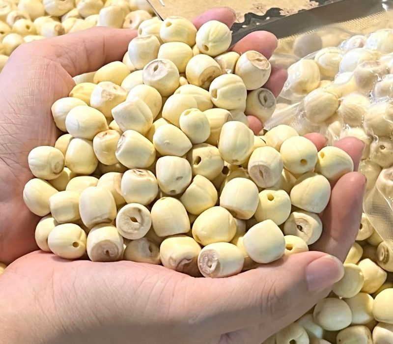 Hạt Sen Huế: Sản vật vùng cố đô và cách chọn lựa chuẩn vị nhất 4
