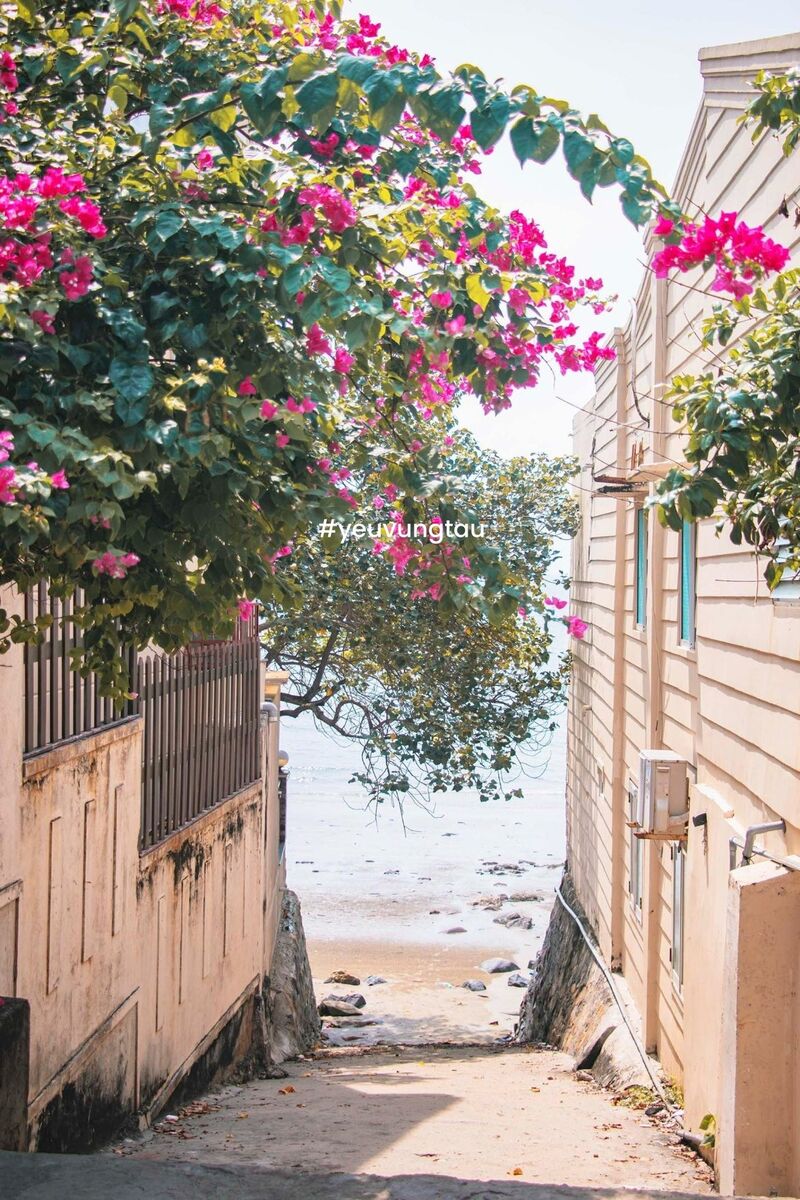 Check-in hẻm 107 Trần Phú, địa điểm sống ảo cực hot 2