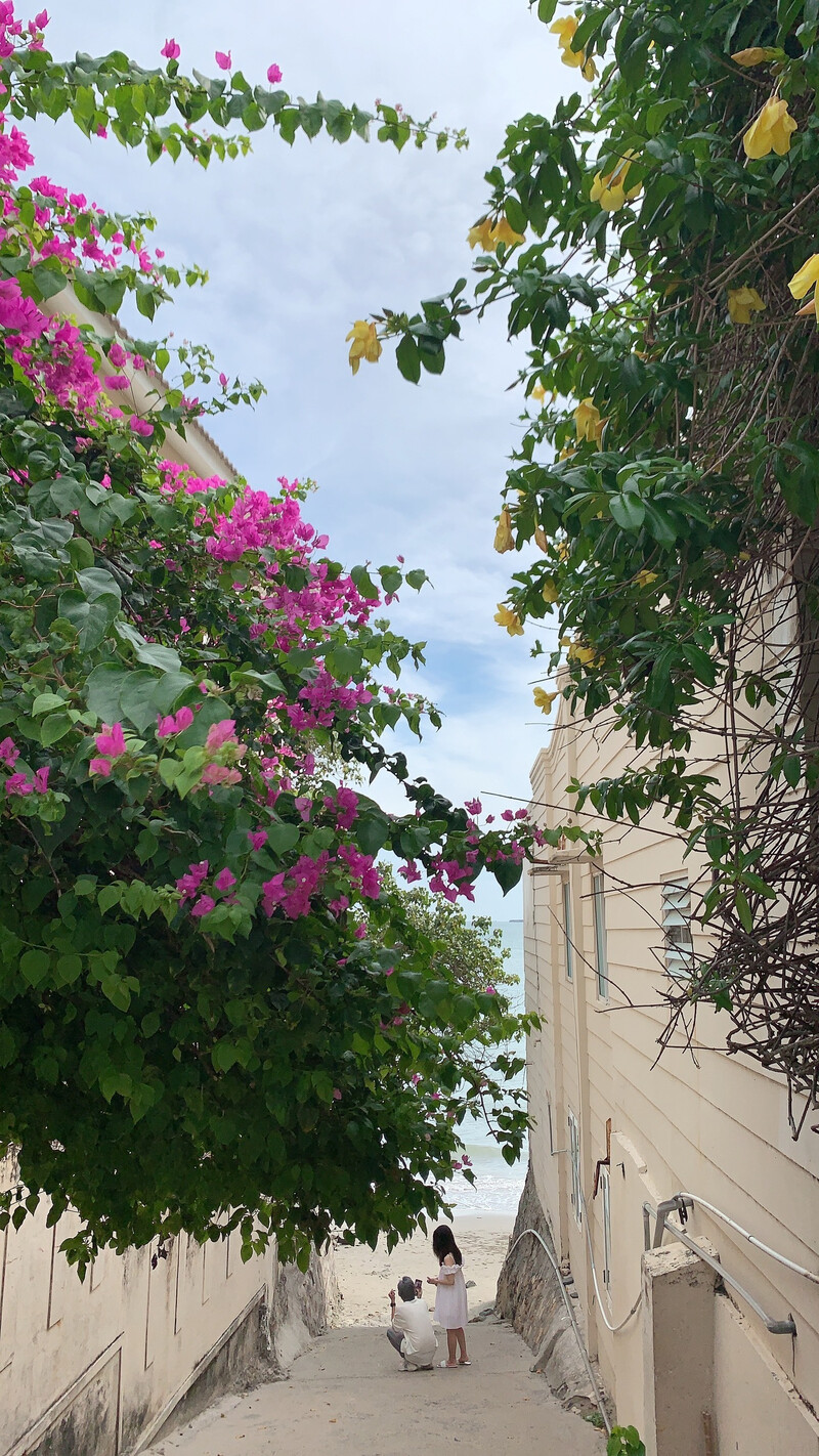 Check-in hẻm 107 Trần Phú, địa điểm sống ảo cực hot 3