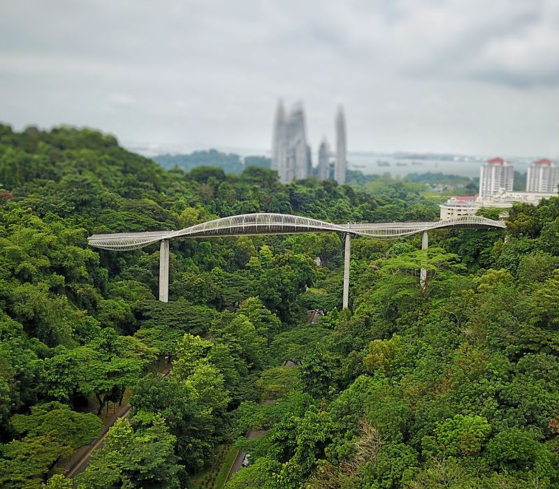 Henderson Waves Singapore, cây cầu biểu tượng của đảo quốc sư tử 2