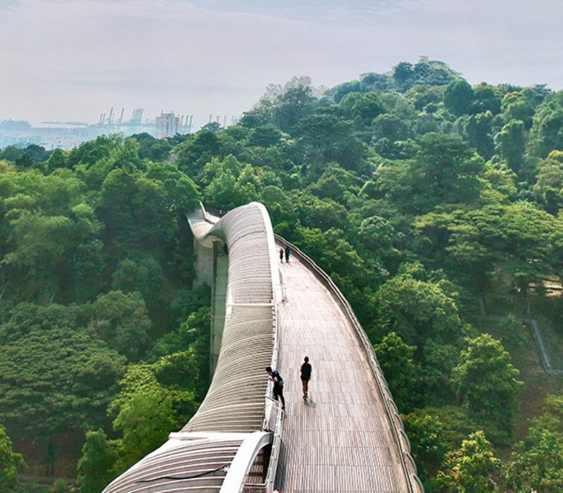 Henderson Waves Singapore, cây cầu biểu tượng của đảo quốc sư tử 11