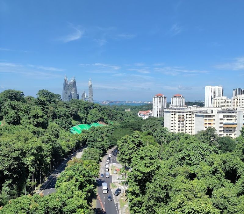 Henderson Waves Singapore, cây cầu biểu tượng của đảo quốc sư tử 12