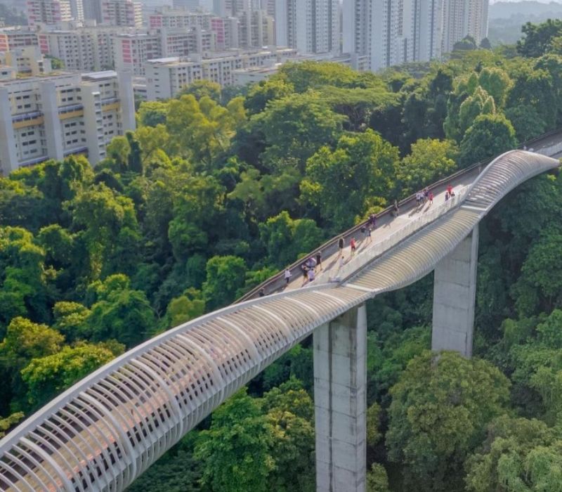 Henderson Waves Singapore, cây cầu biểu tượng của đảo quốc sư tử 13