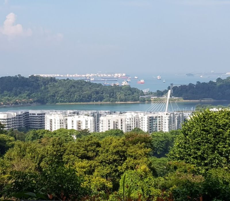 Henderson Waves Singapore, cây cầu biểu tượng của đảo quốc sư tử 15