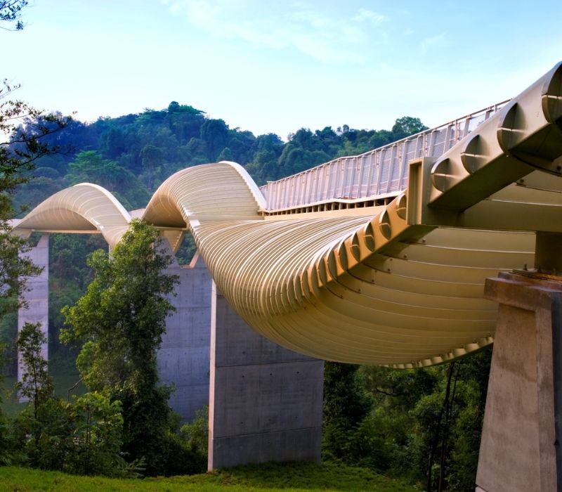 Henderson Waves Singapore, cây cầu biểu tượng của đảo quốc sư tử 16