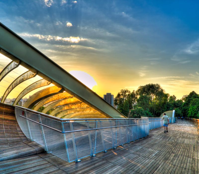 Henderson Waves Singapore, cây cầu biểu tượng của đảo quốc sư tử 17