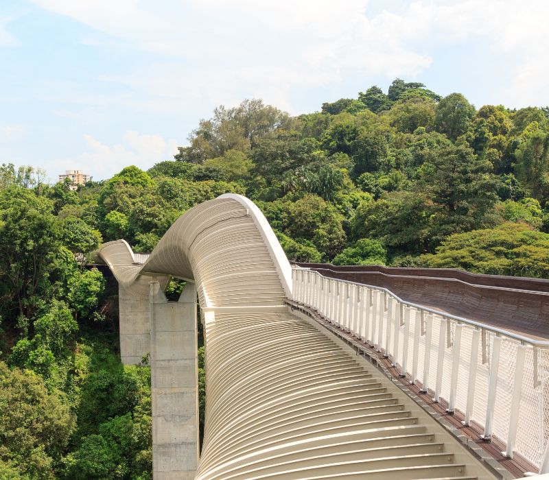 Henderson Waves Singapore, cây cầu biểu tượng của đảo quốc sư tử 3