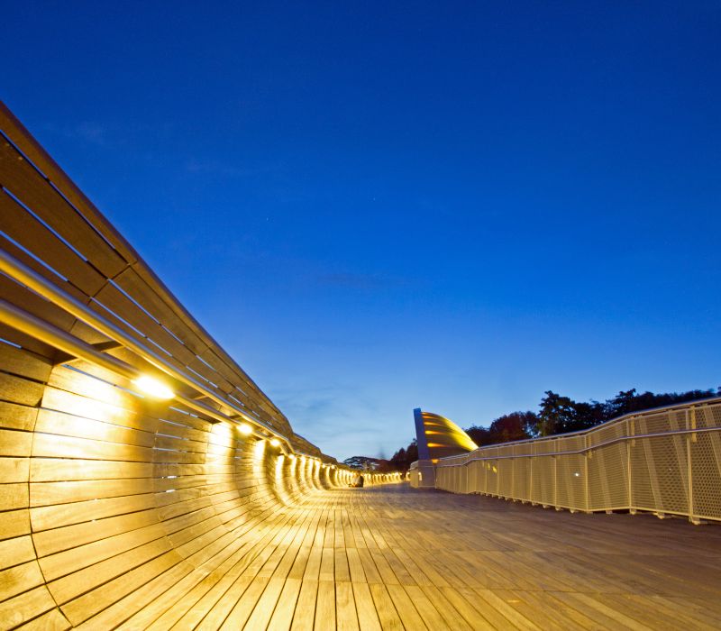 Henderson Waves Singapore, cây cầu biểu tượng của đảo quốc sư tử 5