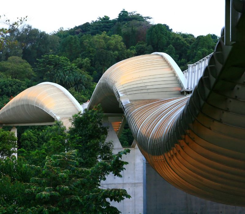 Henderson Waves Singapore, cây cầu biểu tượng của đảo quốc sư tử 6