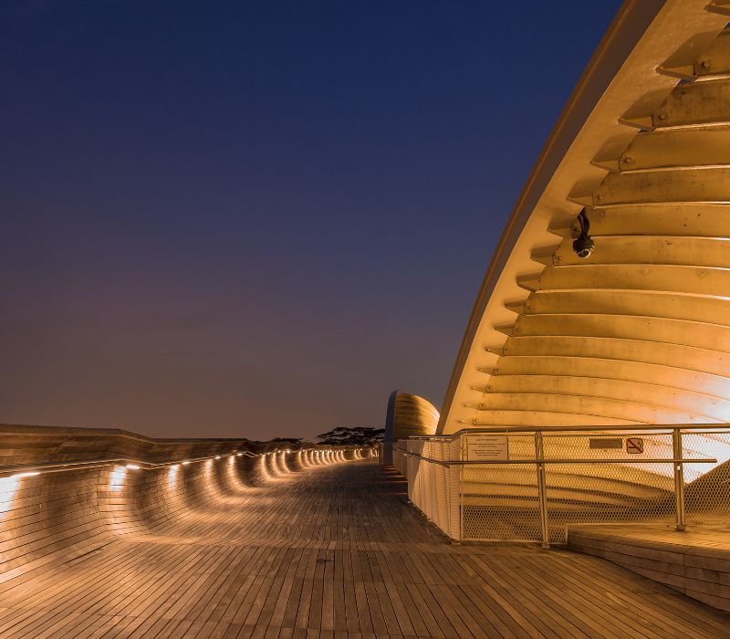 Henderson Waves Singapore, cây cầu biểu tượng của đảo quốc sư tử 9