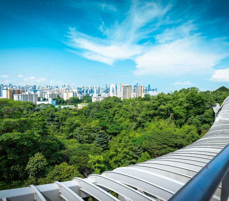 Henderson Waves Singapore, cây cầu biểu tượng của đảo quốc sư tử 10