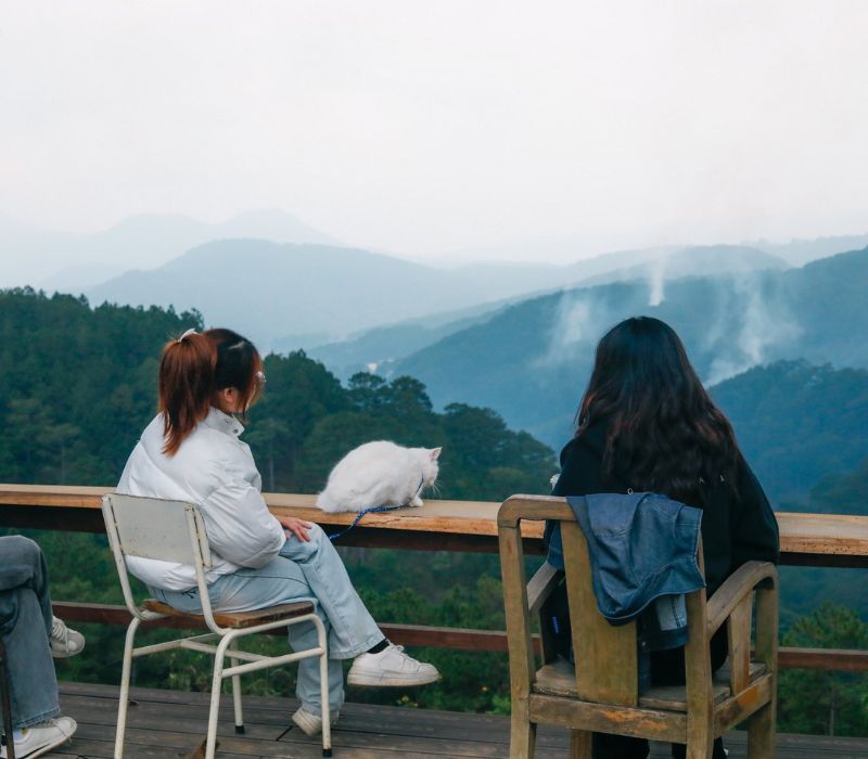 Hidden Land Đà Lạt: Thiên đường ẩn mình giữa núi rừng có gì? 4