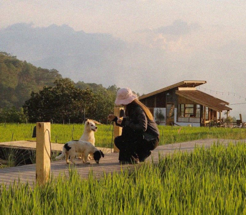 Hidden Land Đà Lạt: Thiên đường ẩn mình giữa núi rừng có gì? 3