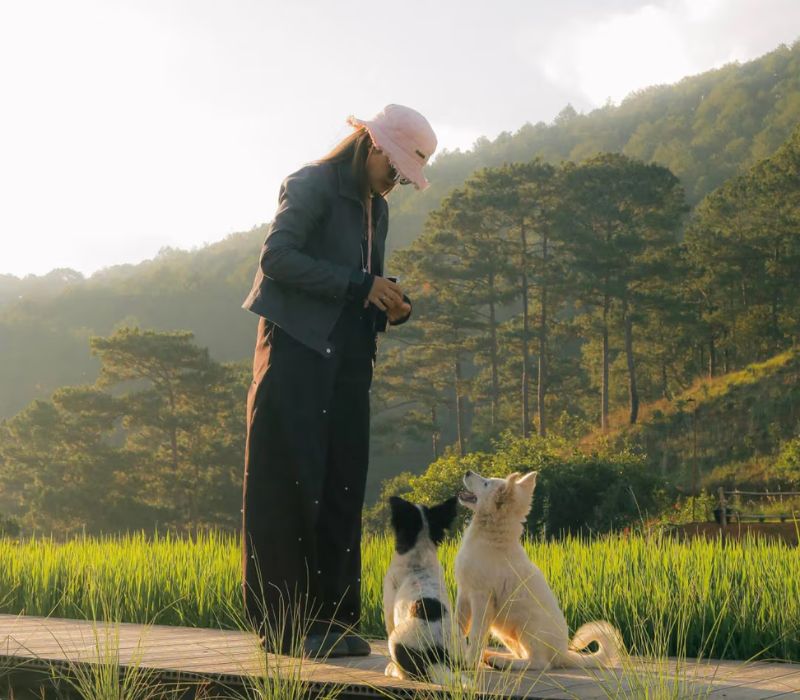 Hidden Land Đà Lạt: Thiên đường ẩn mình giữa núi rừng có gì? 6