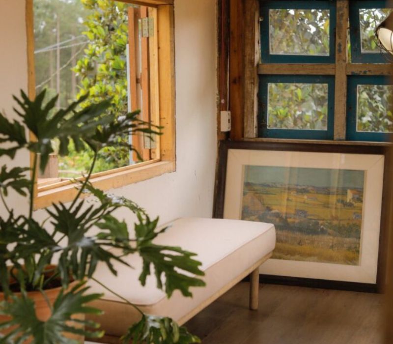 Hidden Land Đà Lạt: Thiên đường ẩn mình giữa núi rừng có gì? 5