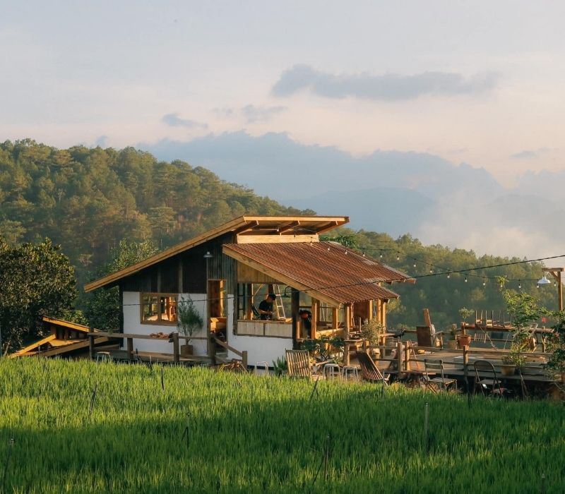 Hidden Land Đà Lạt: Thiên đường ẩn mình giữa núi rừng có gì?