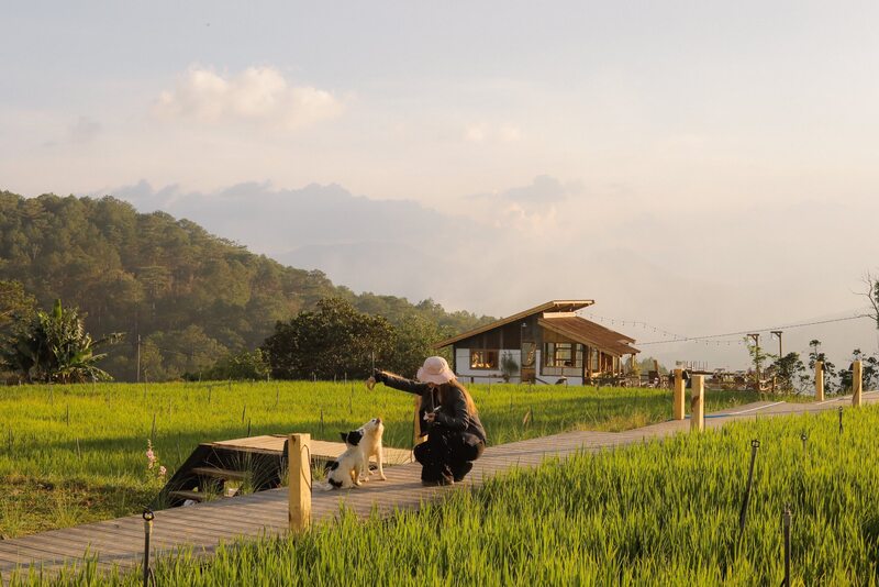 Top 20 quán cafe Đà Lạt xinh đẹp, mộng mơ nhất 28