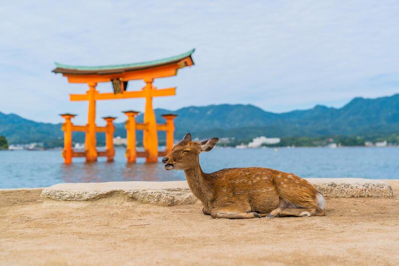 Thành phố Hiroshima biểu tượng của sự tái sinh tại Nhật Bản 9