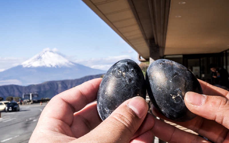 Du ngoạn hồ Ashi say đắm giữa lòng Hakone, Nhật Bản 10