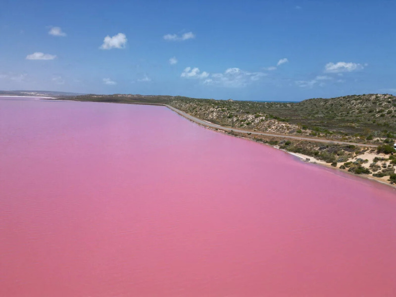 Hồ Hillier pha sắc hồng như trong truyện cổ tích tại Úc 5