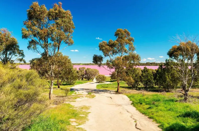 Hồ Hillier pha sắc hồng như trong truyện cổ tích tại Úc 7