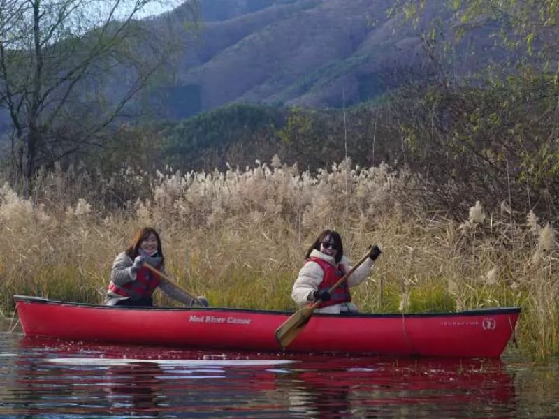 Vẻ đẹp thơ mộng của hồ Kawaguchi: Chuyến du ngoạn không thể bỏ qua 6