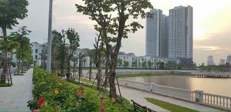 Hồ Mễ Trì: Không gian xanh yên bình giữa lòng Hà Nội 8