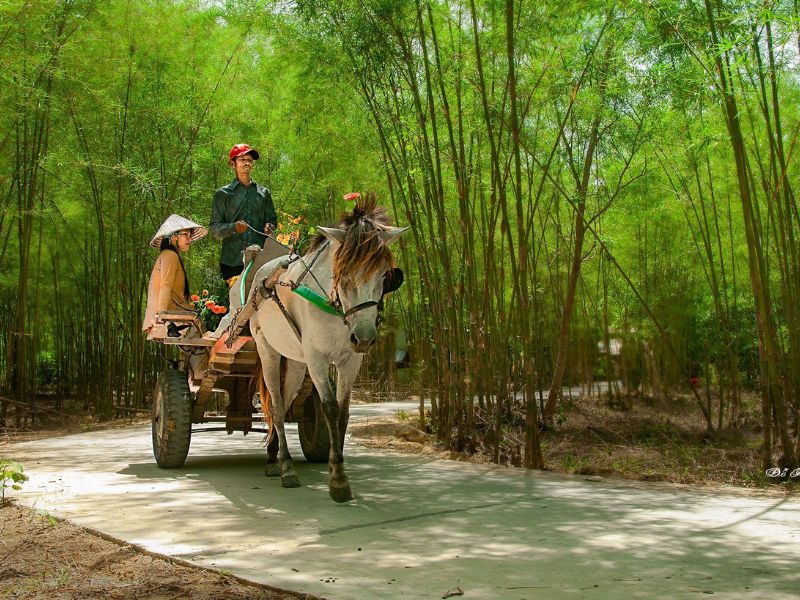 Hồ Ô Tà Sóc: Chốn dừng chân hoang sơ giữa vùng Bảy Núi 5