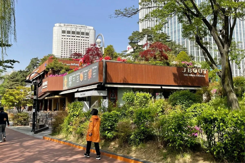 Hồ Seokchon ốc đảo xanh bên hàng hoa anh đào hồng khoe sắc ở Seoul 13