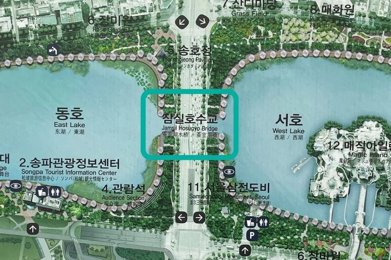 Hồ Seokchon ốc đảo xanh bên hàng hoa anh đào hồng khoe sắc ở Seoul 10