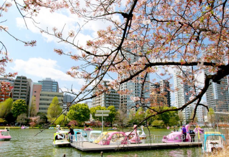 Khám phá công viên Ueno: công viên lâu đời nhất tại Tokyo 9