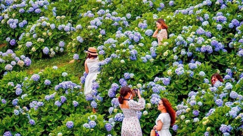 Check-in hồ Than Thở đậm chất thơ giữa xứ sở sương mù 9