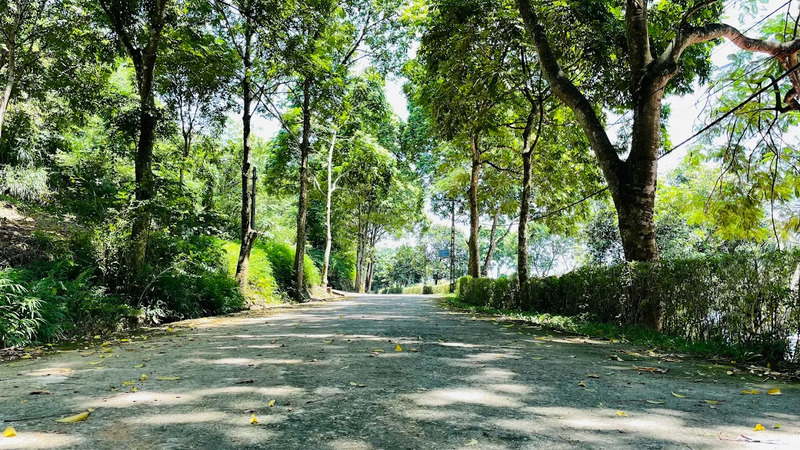 Khám phá vẻ đẹp Hồ Tiên Sa, địa điểm cắm trại hòa mình vào thiên nhiên 4