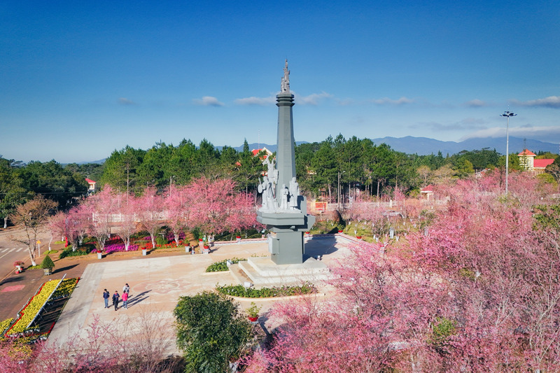 Có một mùa hoa anh đào Măng Đen nên thơ giữa đất trời Kon Tum 6