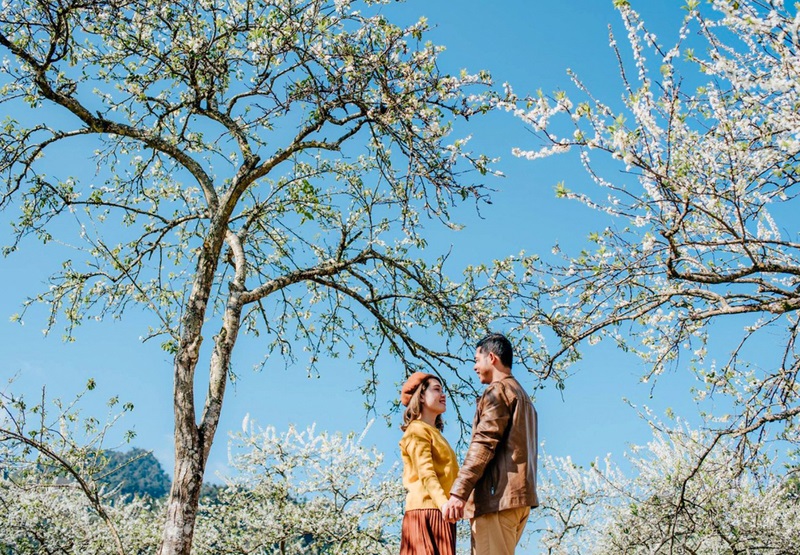 Mùa hoa ban Tây Bắc mang sắc trắng tinh khôi của đại ngàn 7