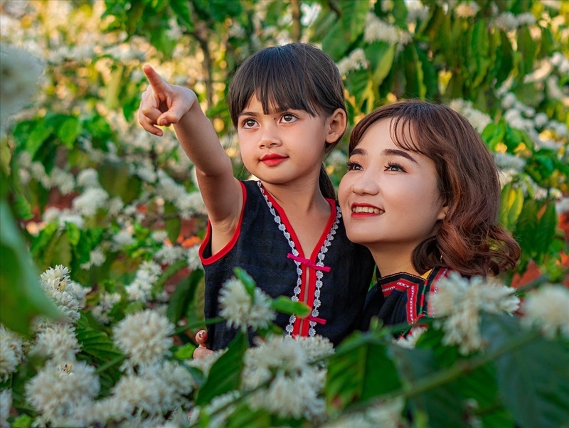 Trải nghiệm hoa cà phê phủ trắng muốt mảnh đất Tây Nguyên 11