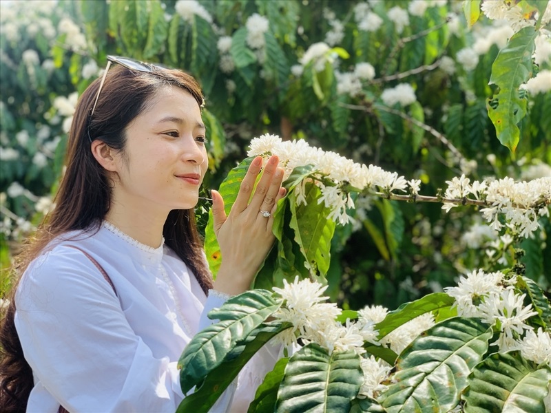 Trải nghiệm hoa cà phê phủ trắng muốt mảnh đất Tây Nguyên 4